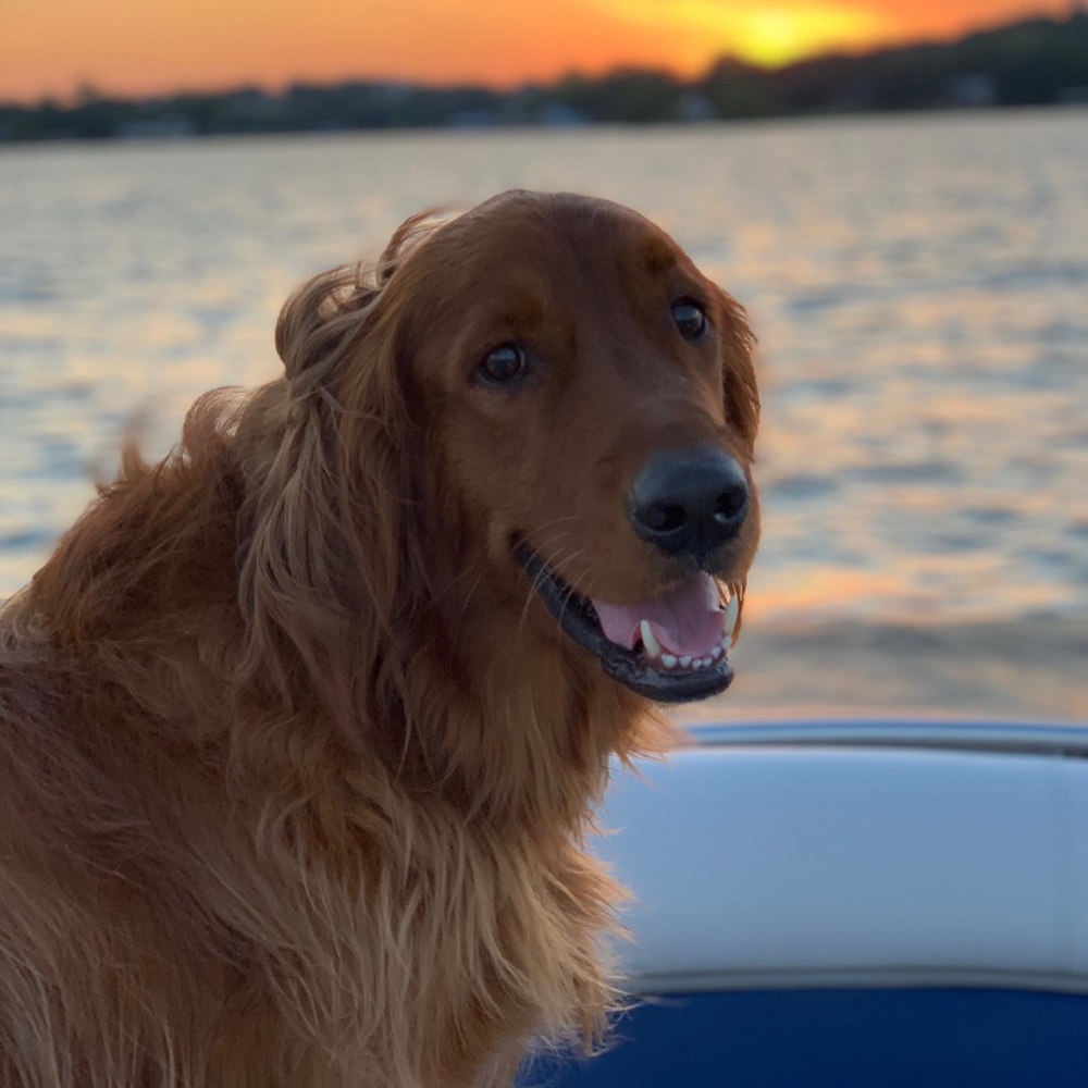 Meet your Posher, Kathryn